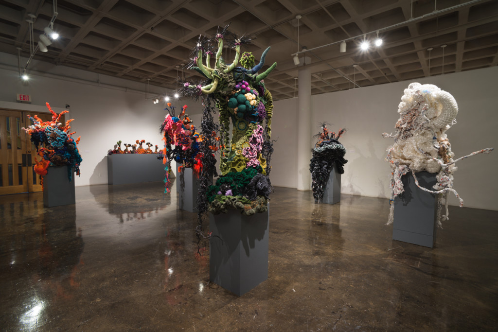 "Crochet Coral Forest" and "Branched Anemone Garden" at the Southwest School of Art, San Antonio, Tx, 2015. Photo courtesy, Southwest School of Art.