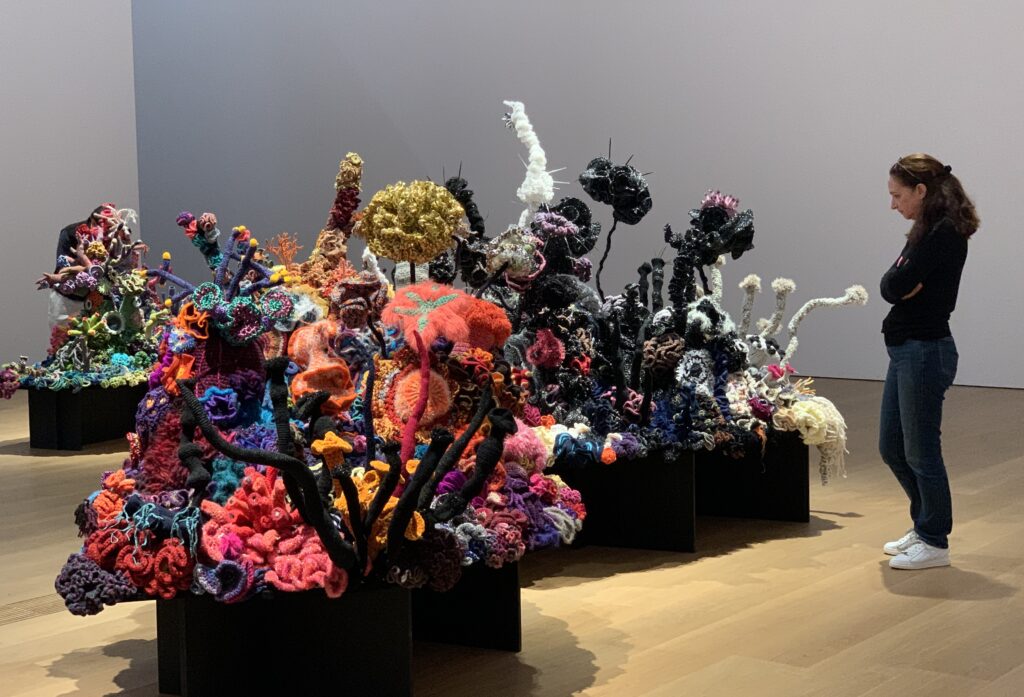 crochet coral reef installation in a gallery with viewer looking on